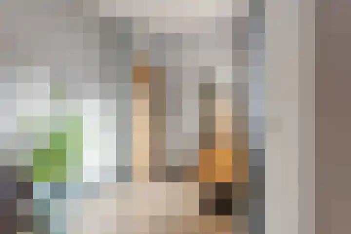 Dokter Kanterslaan 9 Grave thumbnail 7