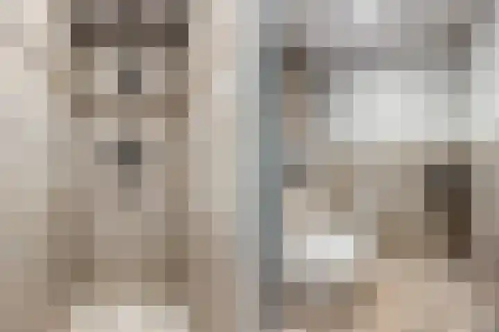 Dokter Kanterslaan 9 Grave thumbnail 8