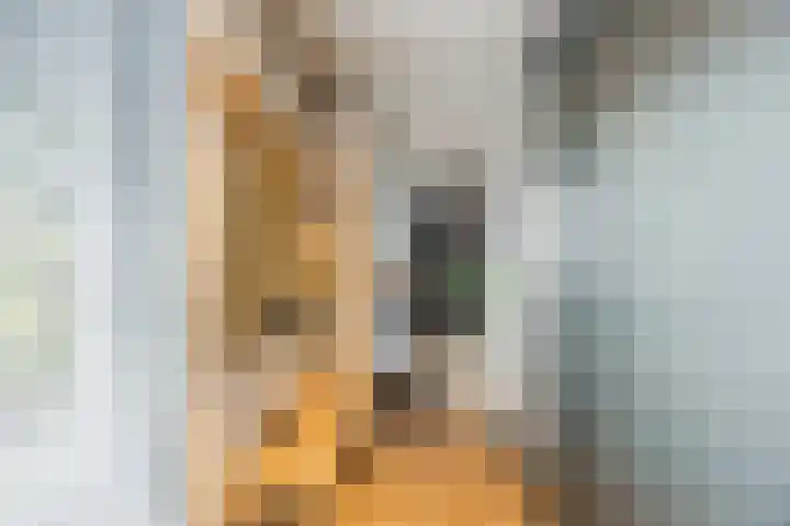 Dokter Kanterslaan 9 Grave thumbnail 9