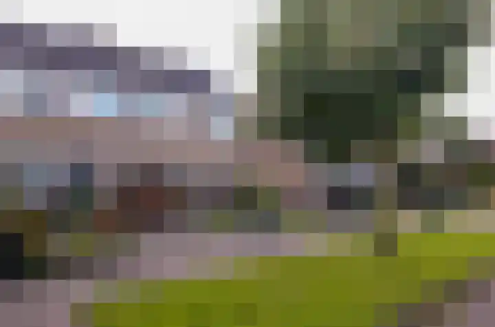 Dokter Keijserstraat 58 Surhuisterveen thumbnail 7