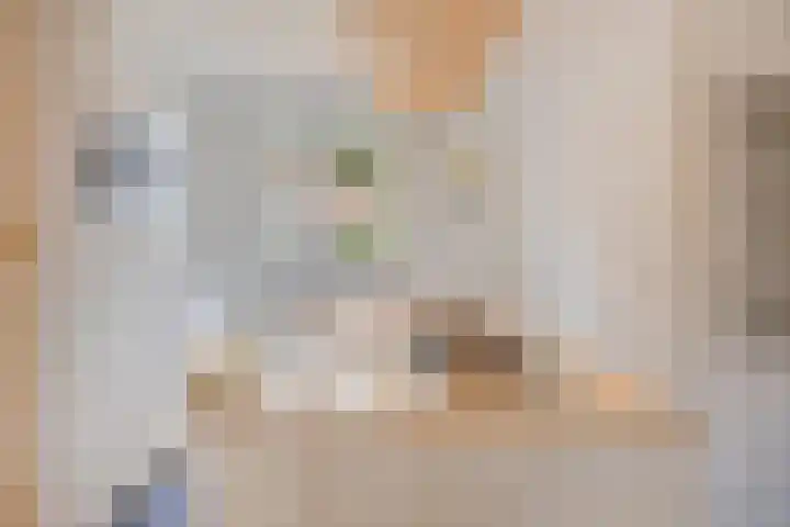 Dokter Kerssemakersstraat 8 Mierlo thumbnail 12