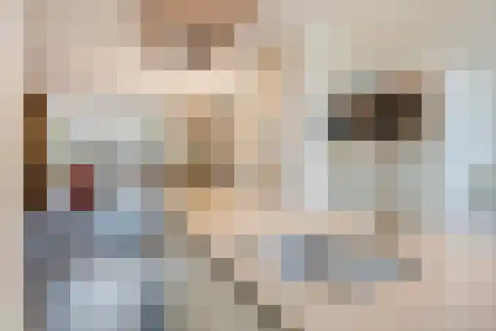 Dokter Kerssemakersstraat 8 Mierlo thumbnail 15