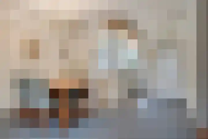 Dokter Kerssemakersstraat 8 Mierlo thumbnail 17