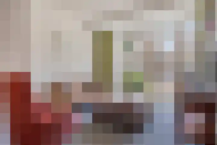 Dokter Kerssemakersstraat 8 Mierlo thumbnail 20