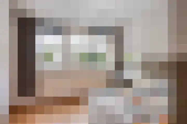 Dokter Kerssemakersstraat 8 Mierlo thumbnail 26