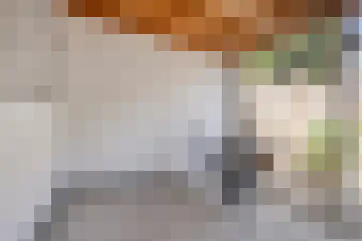 Dokter Kerssemakersstraat 8 Mierlo thumbnail 38