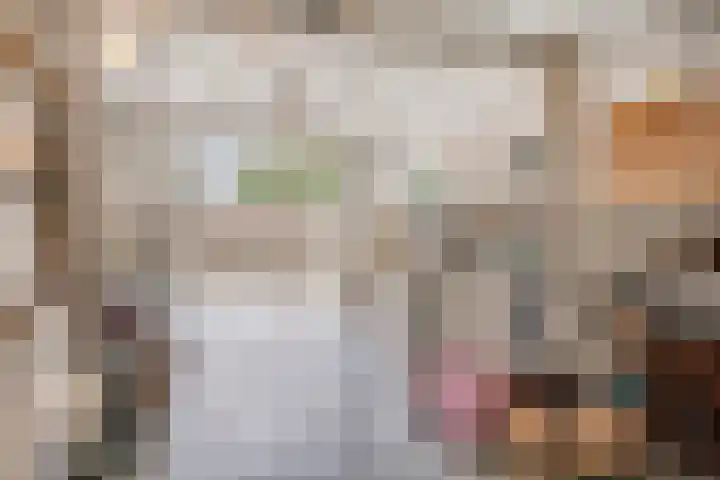 Dokter Kerssemakersstraat 8 Mierlo thumbnail 39