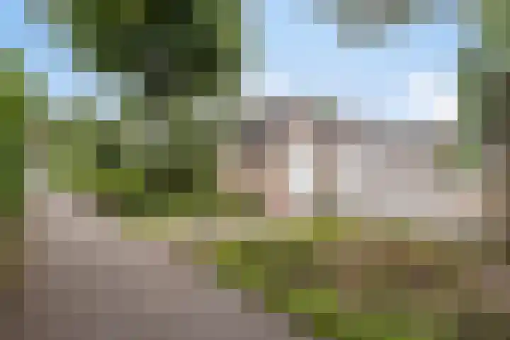 Dokter Kerssemakersstraat 8 Mierlo thumbnail 42