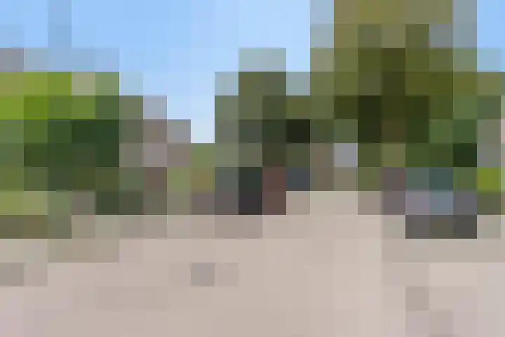Dokter Kerssemakersstraat 8 Mierlo thumbnail 43