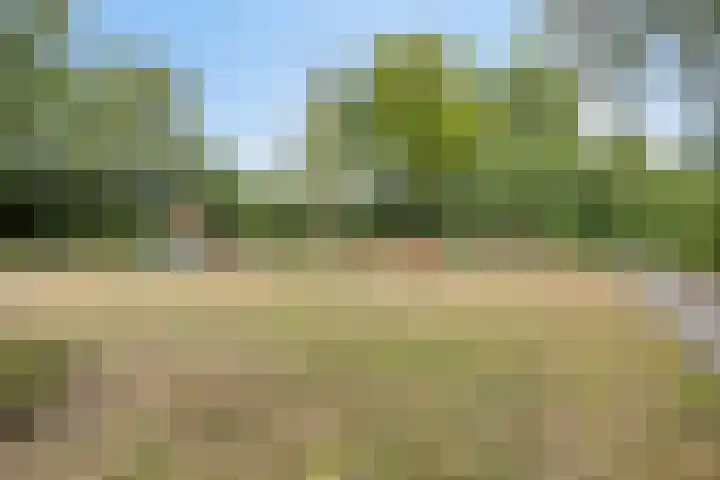 Dokter Kerssemakersstraat 8 Mierlo thumbnail 44