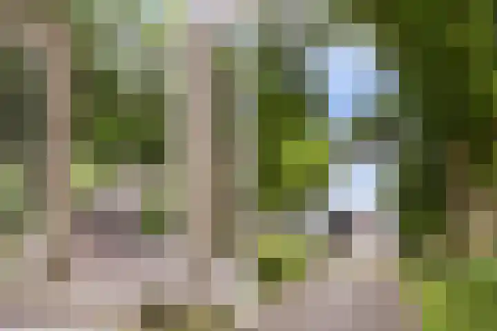 Dokter Kijlstrawei 11 Readtsjerk thumbnail 40