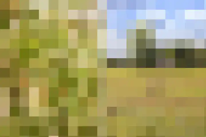 Dokter Kijlstrawei 11 Readtsjerk thumbnail 47