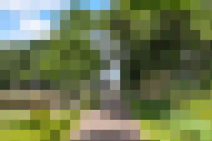 Dokter Kijlstrawei 11 Readtsjerk thumbnail 49
