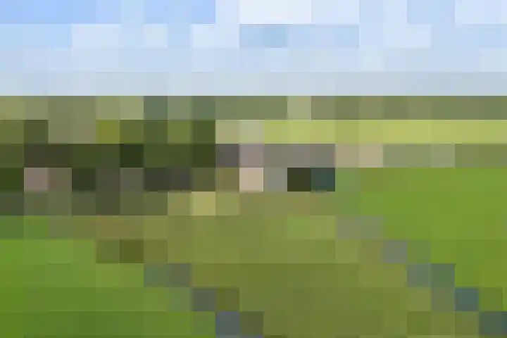 Dokter Kijlstrawei 11 Readtsjerk thumbnail 55