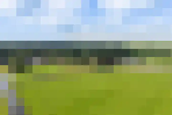 Dokter Kijlstrawei 11 Readtsjerk thumbnail 56