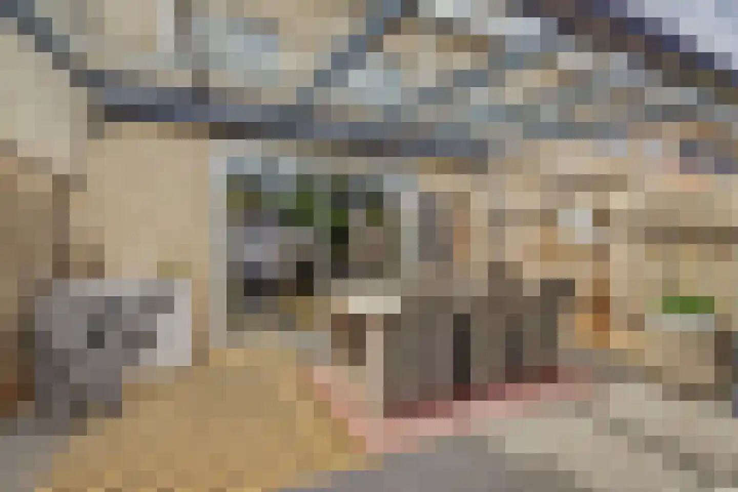 Dokter Kniplaan 74 Hoek van Holland thumbnail 31