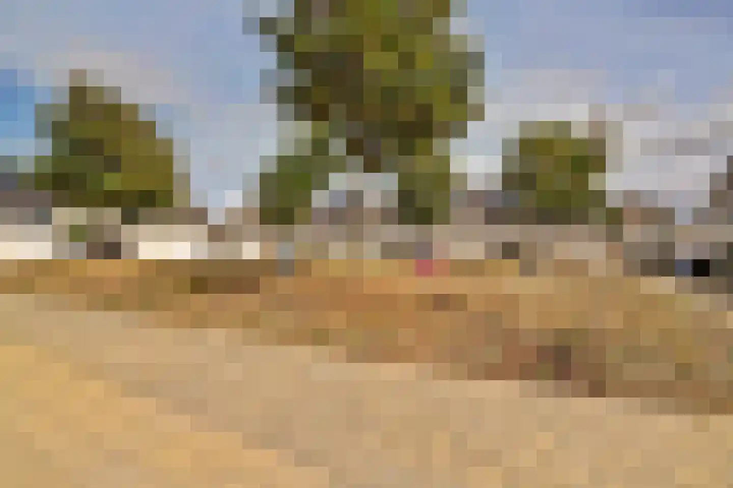 Dokter Kniplaan 74 Hoek van Holland thumbnail 37