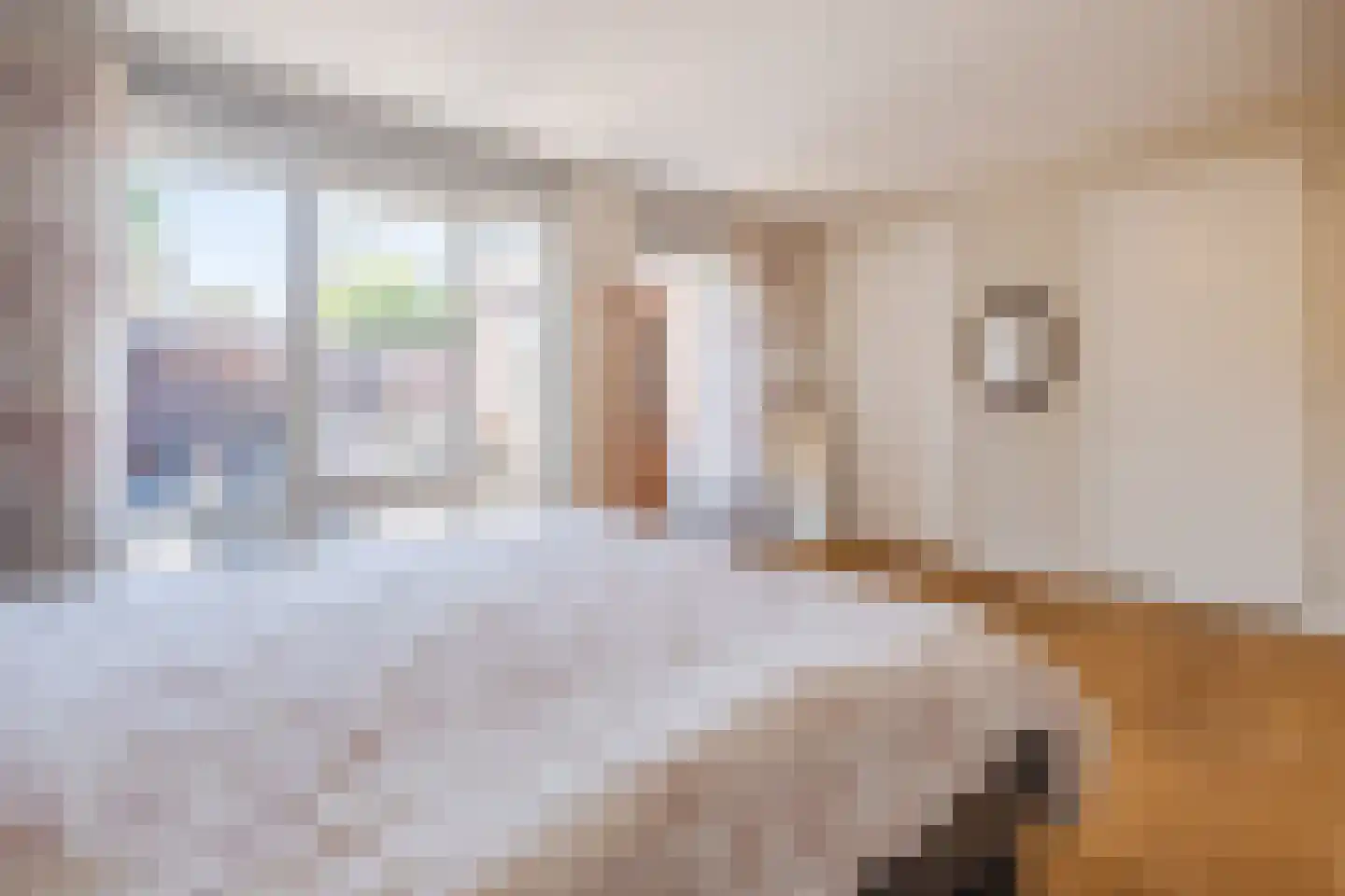 Dokter Kochstraat 8 Geldrop thumbnail 22