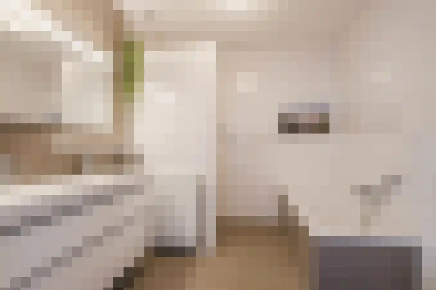 Dokter Kochstraat 8 Geldrop thumbnail 23