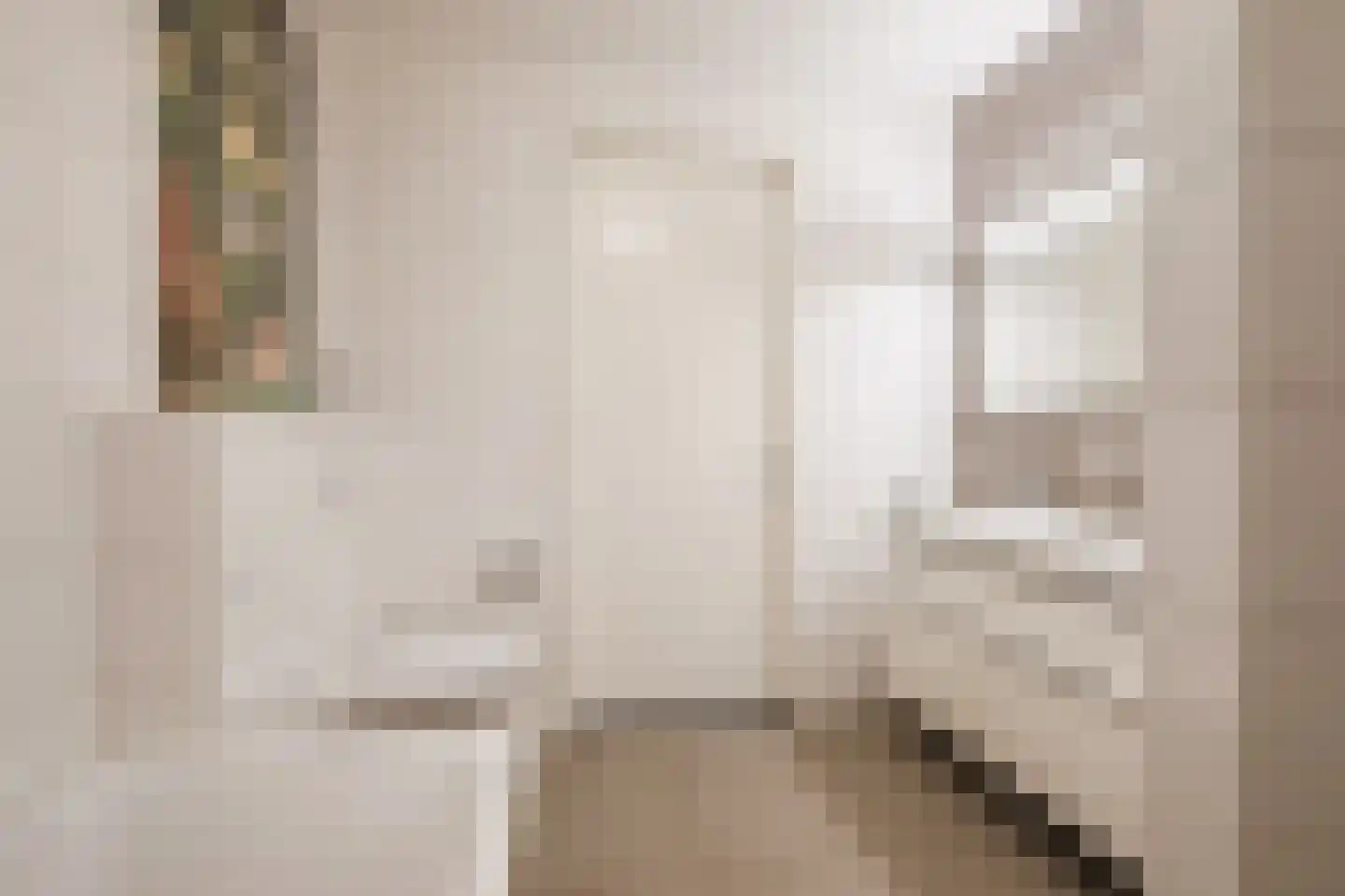 Dokter Kochstraat 8 Geldrop thumbnail 24