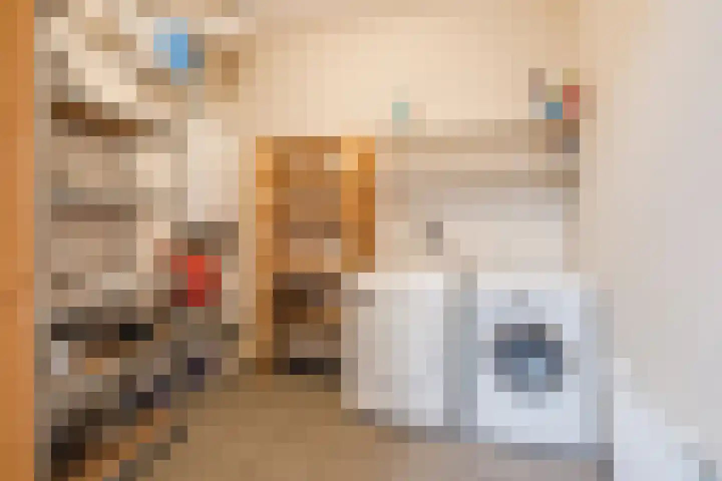 Dokter Kochstraat 8 Geldrop thumbnail 26