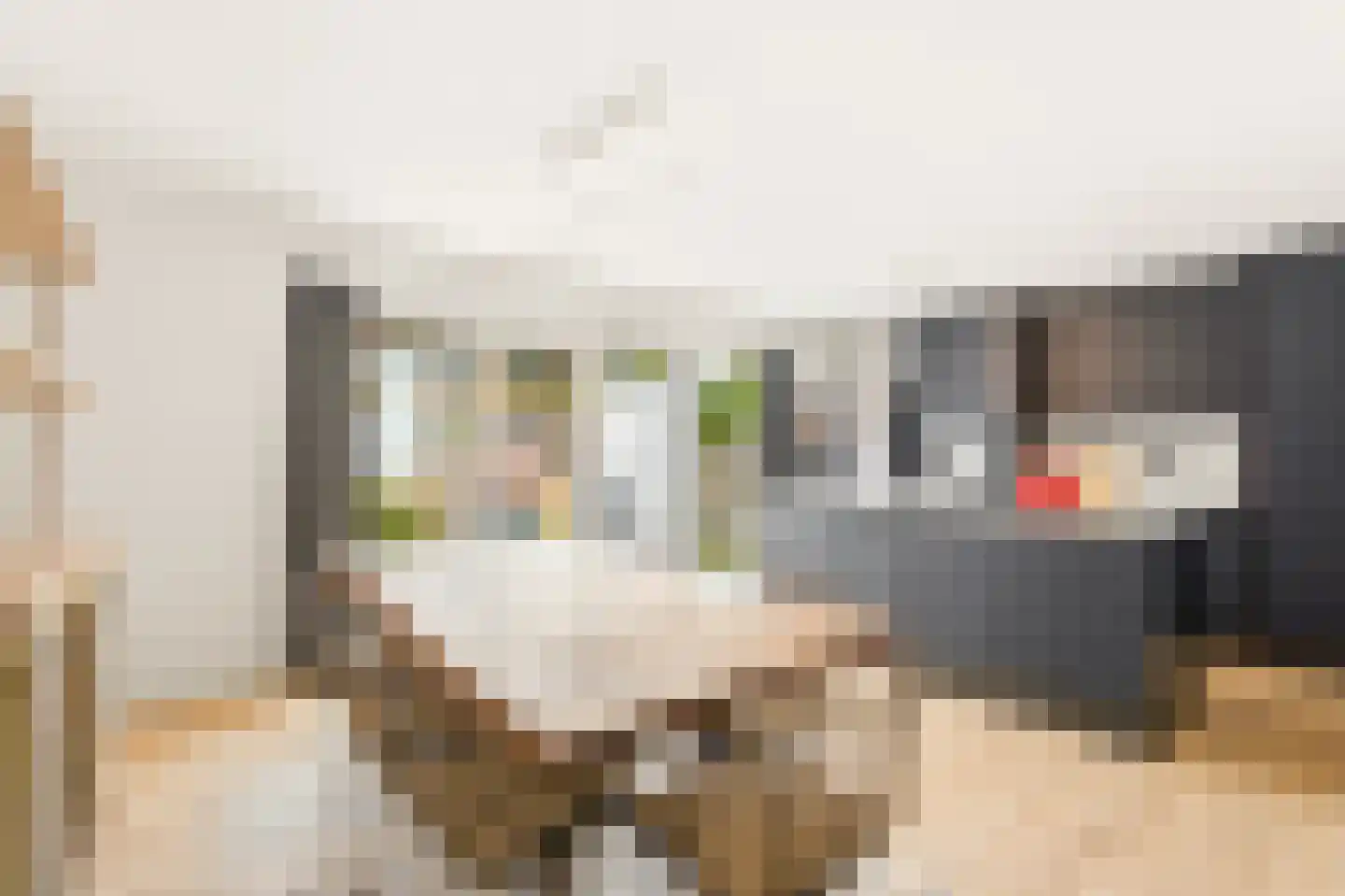 Dokter Koomansstraat 1 F Abcoude thumbnail 10