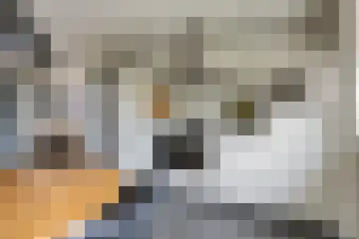 Dokter Koomansstraat 14 Abcoude thumbnail 11