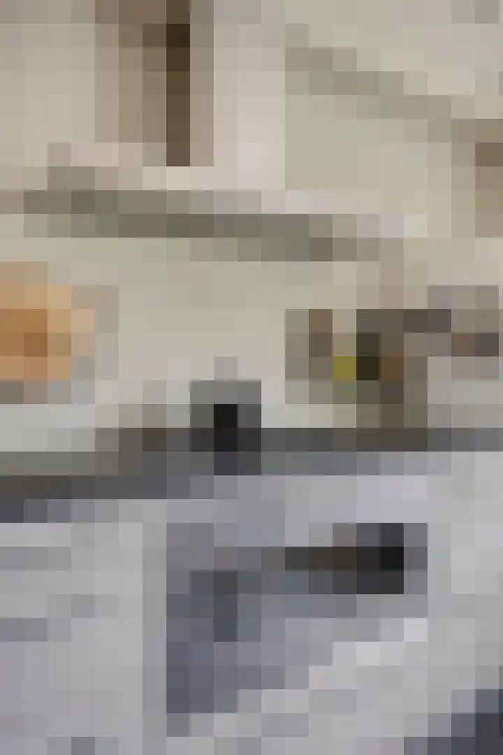 Dokter Koomansstraat 14 Abcoude thumbnail 13