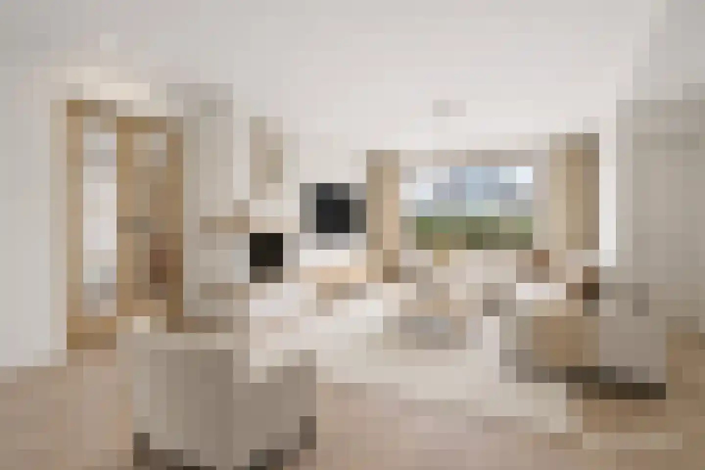 Dokter Koomansstraat 39 Abcoude thumbnail 13