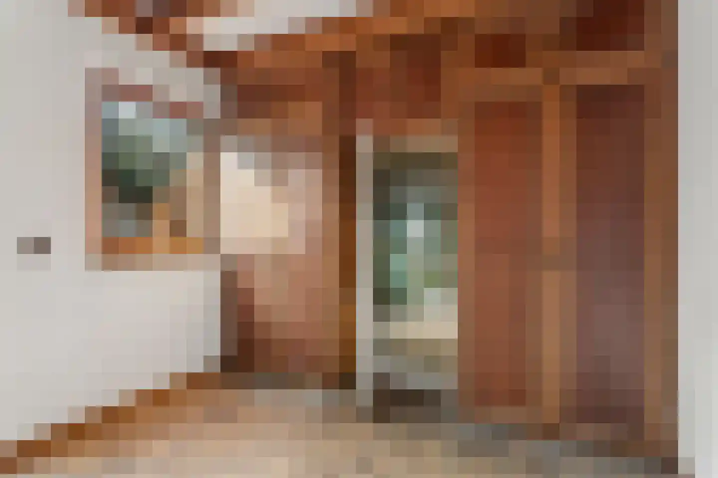Dokter Koomansstraat 39 Abcoude thumbnail 18