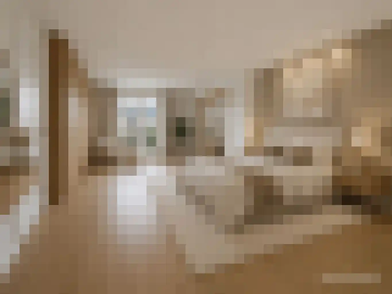 Dokter Koomansstraat 39 Abcoude thumbnail 23