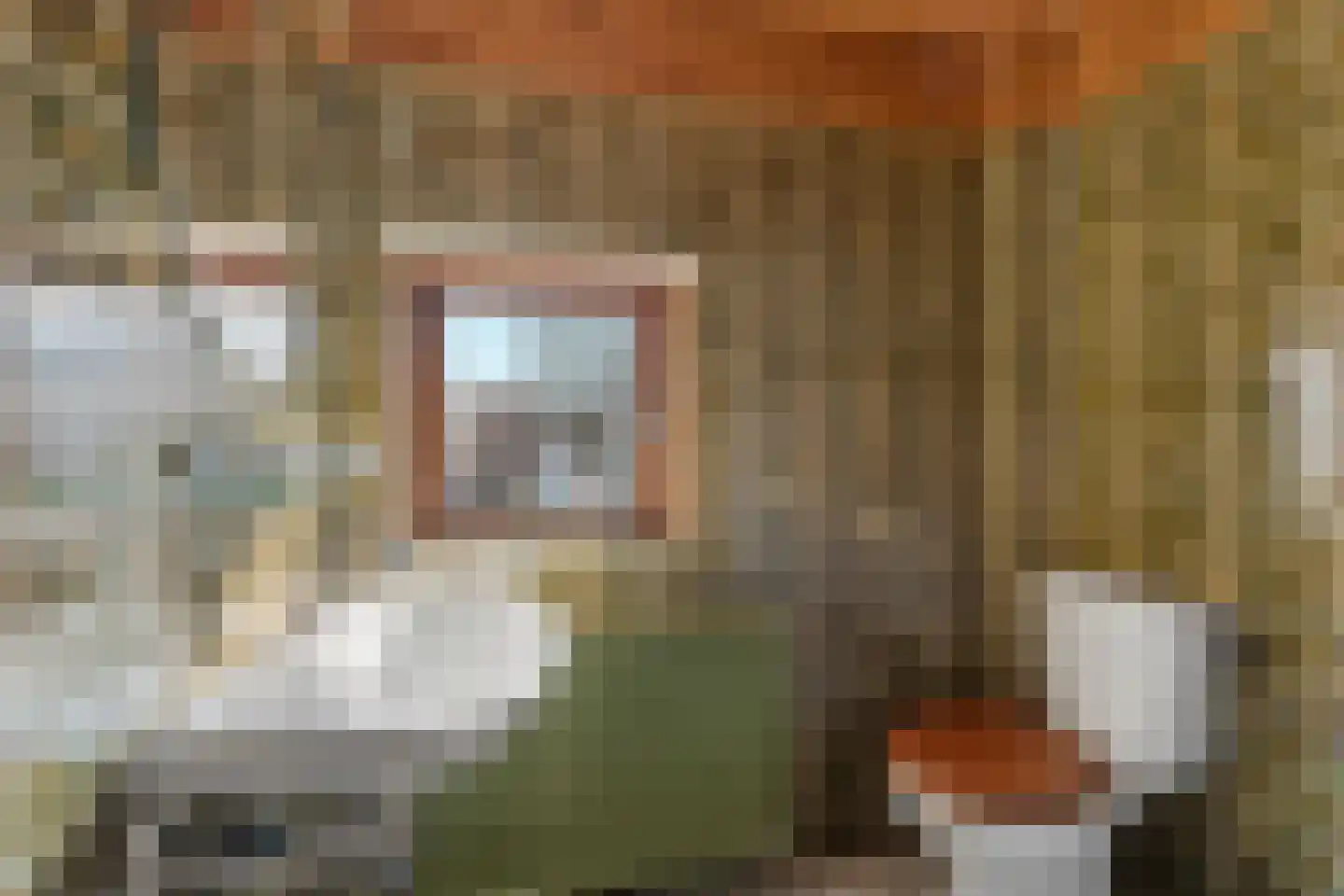 Dokter Koomansstraat 39 Abcoude thumbnail 34