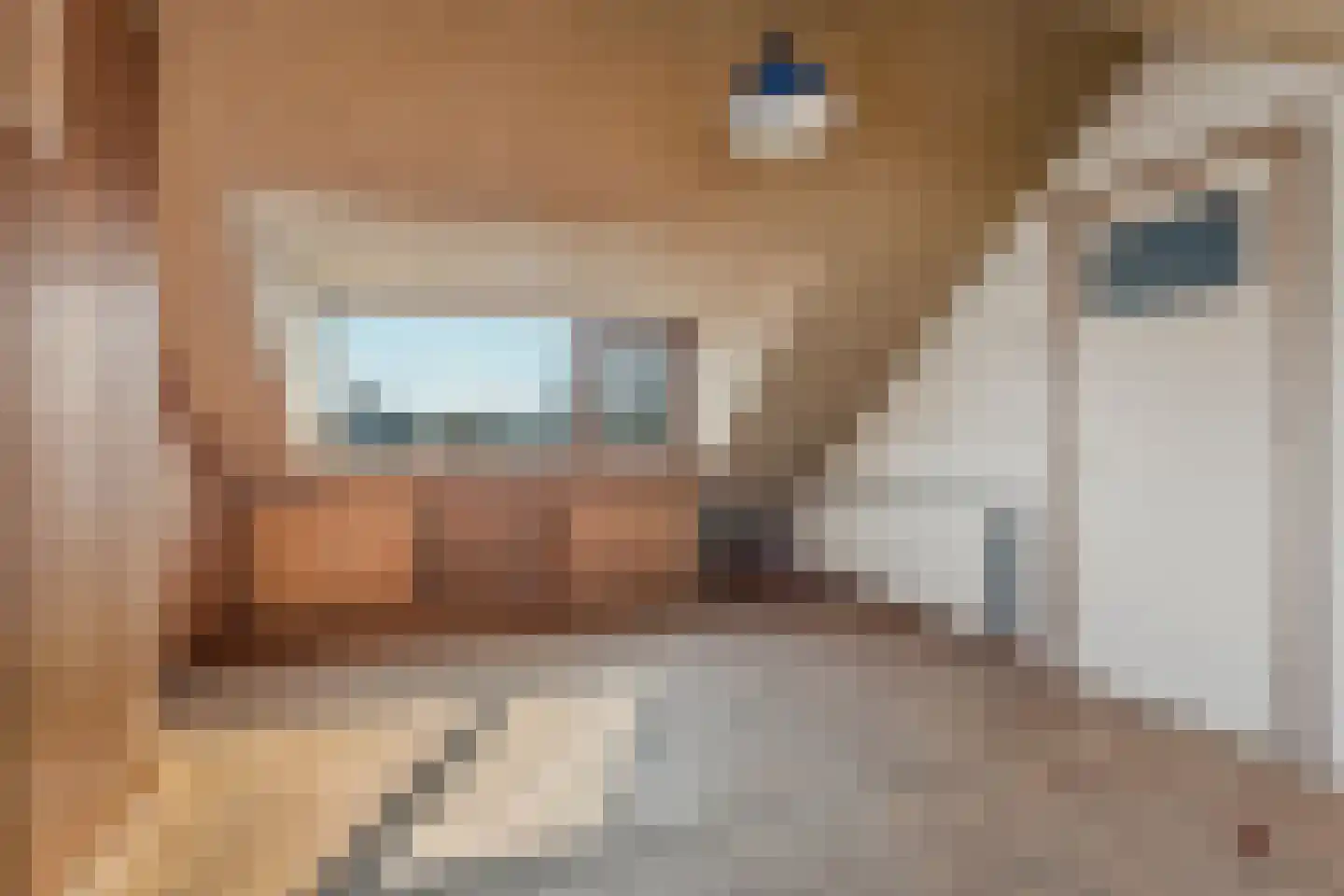 Dokter Koomansstraat 39 Abcoude thumbnail 36