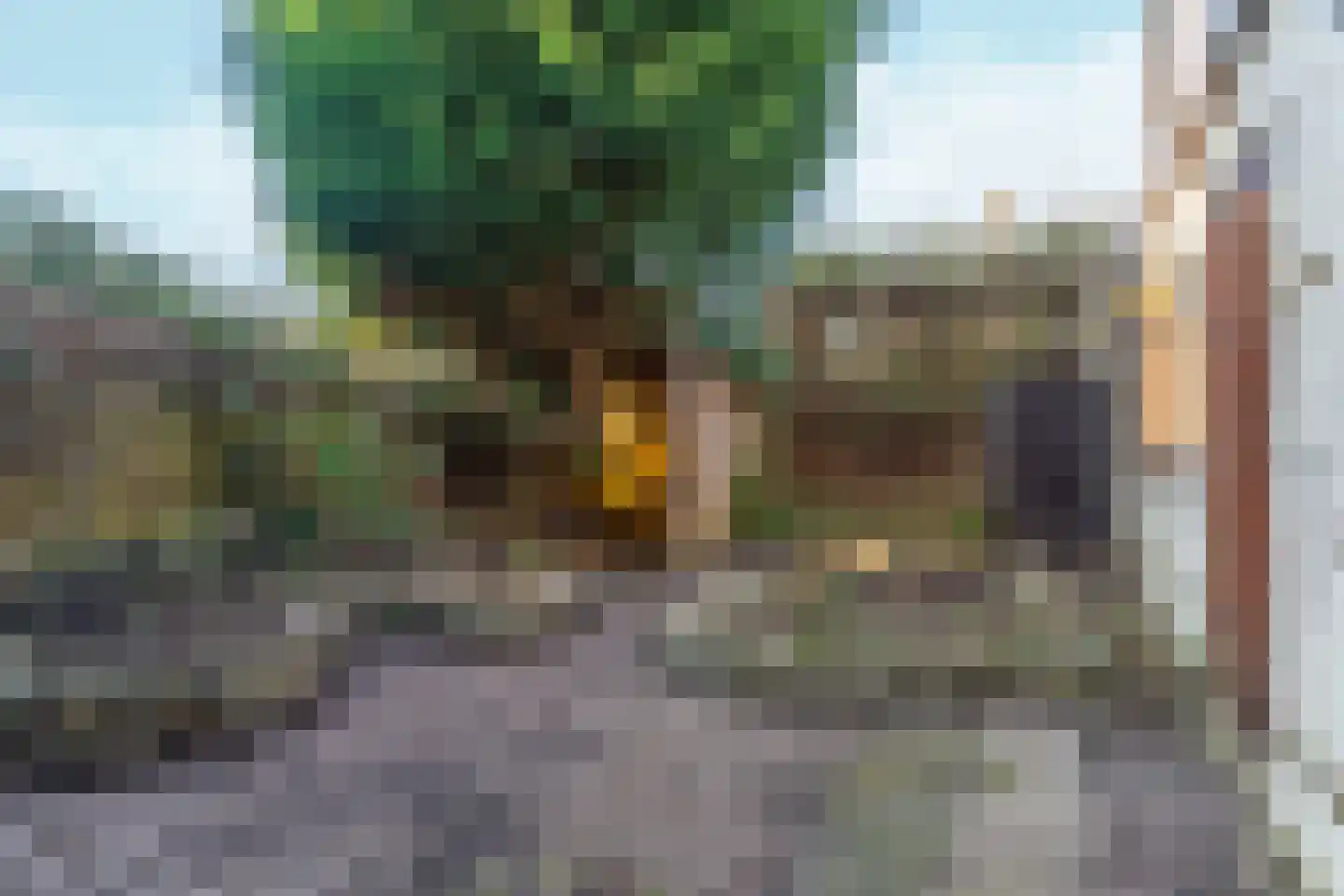 Dokter Koomansstraat 39 Abcoude thumbnail 38