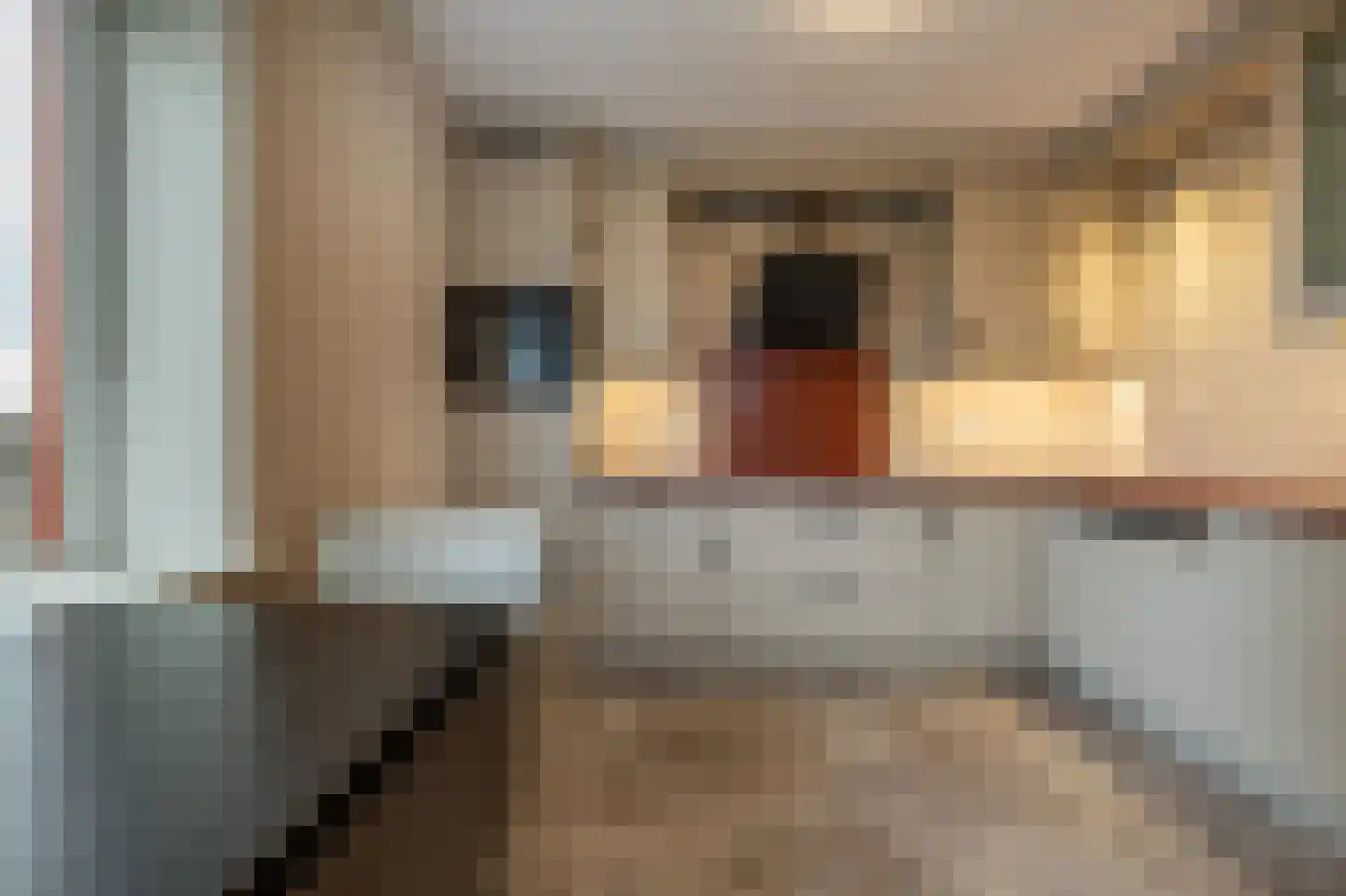 Dokter Kroesenring 42 Oud-Beijerland thumbnail 13