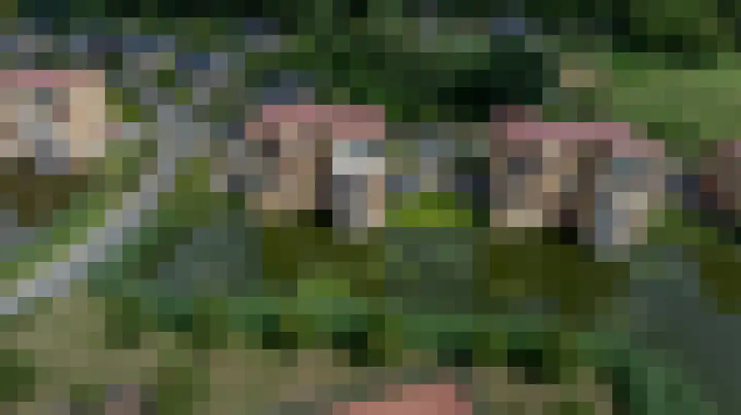 Dokter Kroesenring 42 Oud-Beijerland thumbnail 37