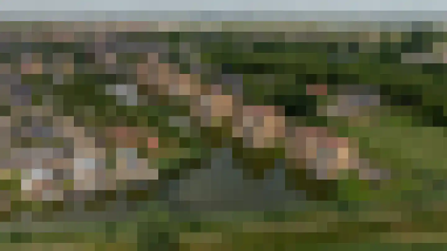 Dokter Kroesenring 42 Oud-Beijerland thumbnail 38