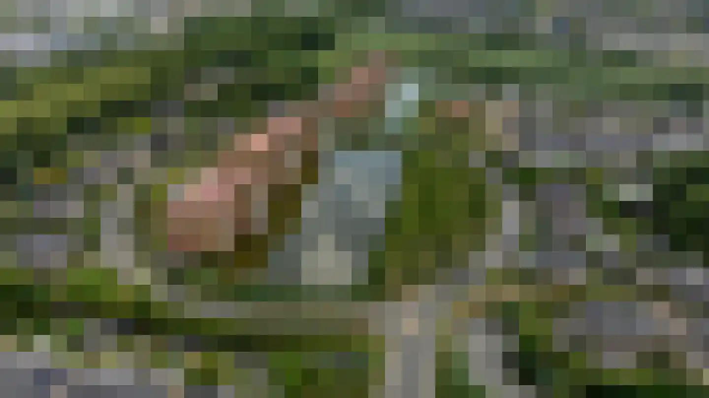 Dokter Kroesenring 42 Oud-Beijerland thumbnail 39