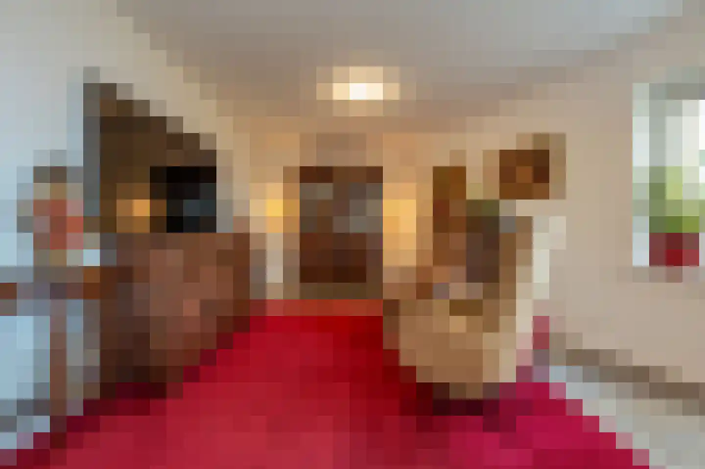 Dokter Kroesenring 42 Oud-Beijerland thumbnail 6