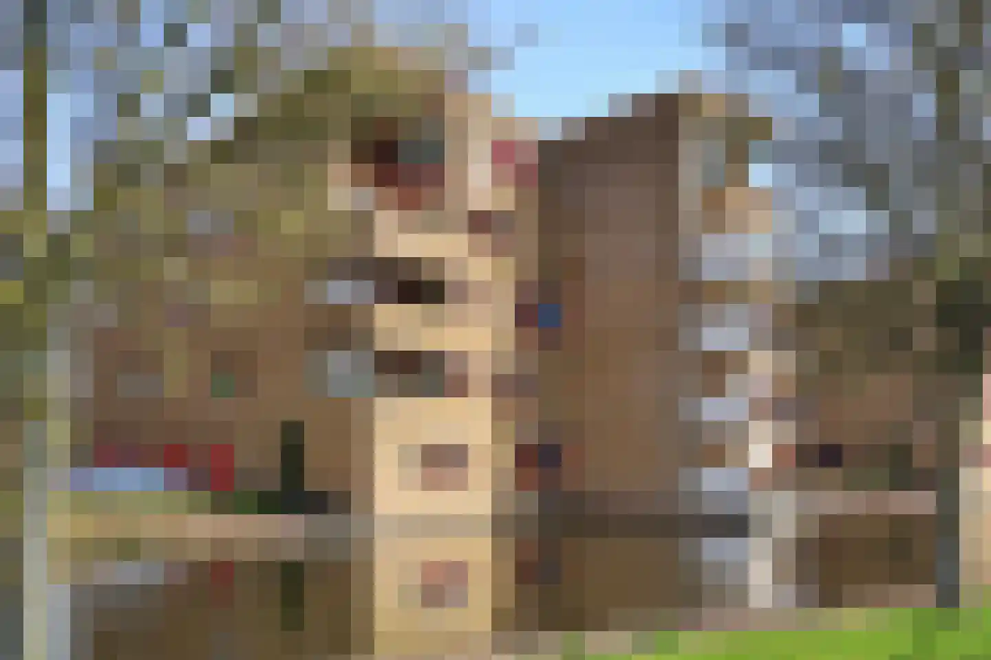 Dokter Kroesenring 50 Oud-Beijerland thumbnail 31