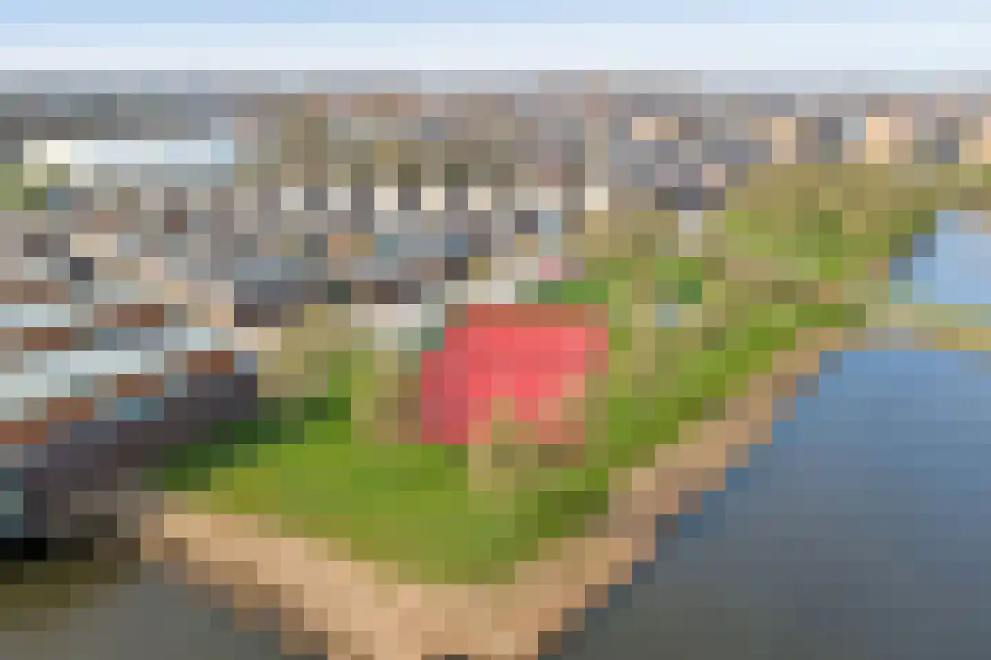 Dokter Kroesenring 50 Oud-Beijerland thumbnail 33