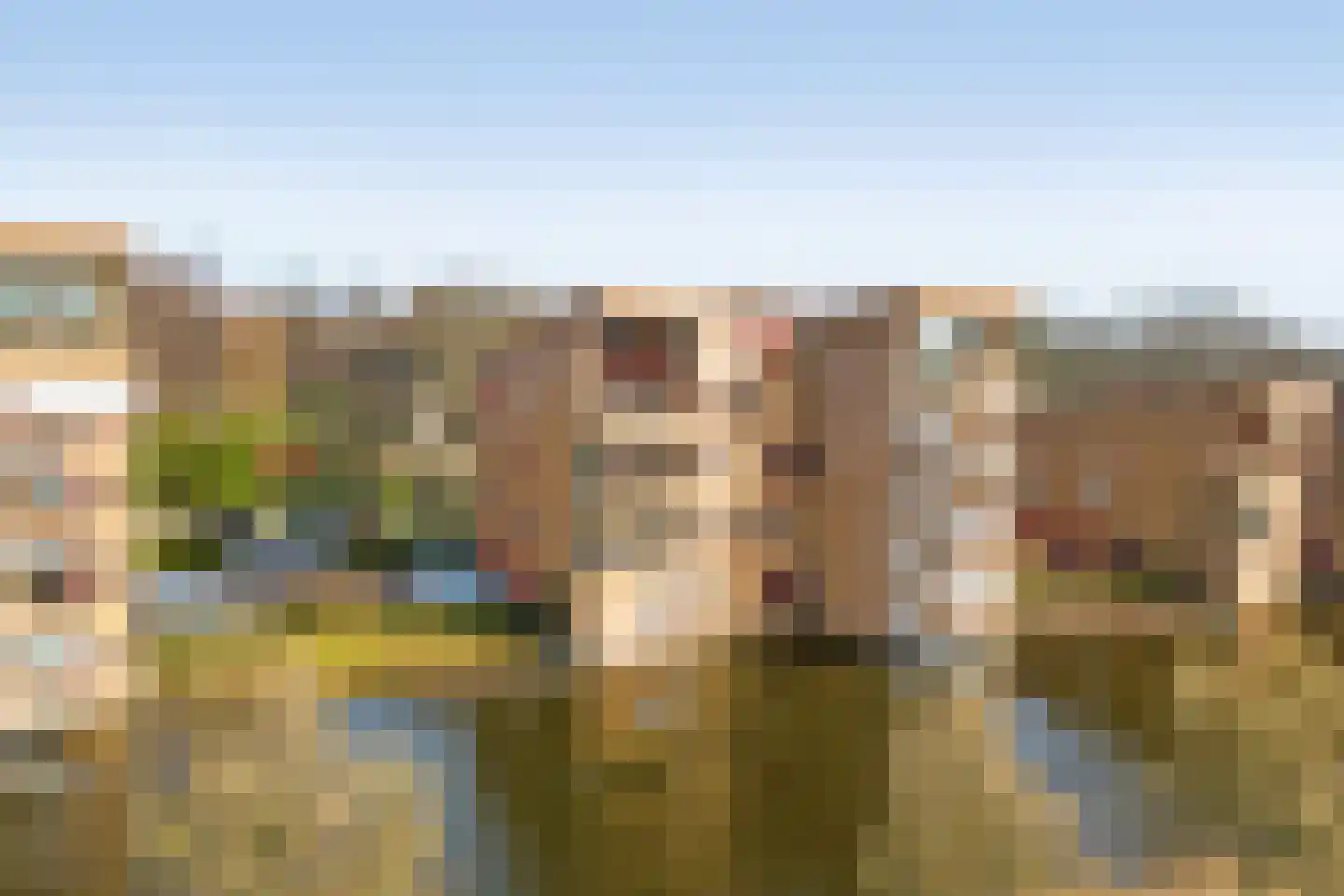 Dokter Kroesenring 50 Oud-Beijerland thumbnail 35