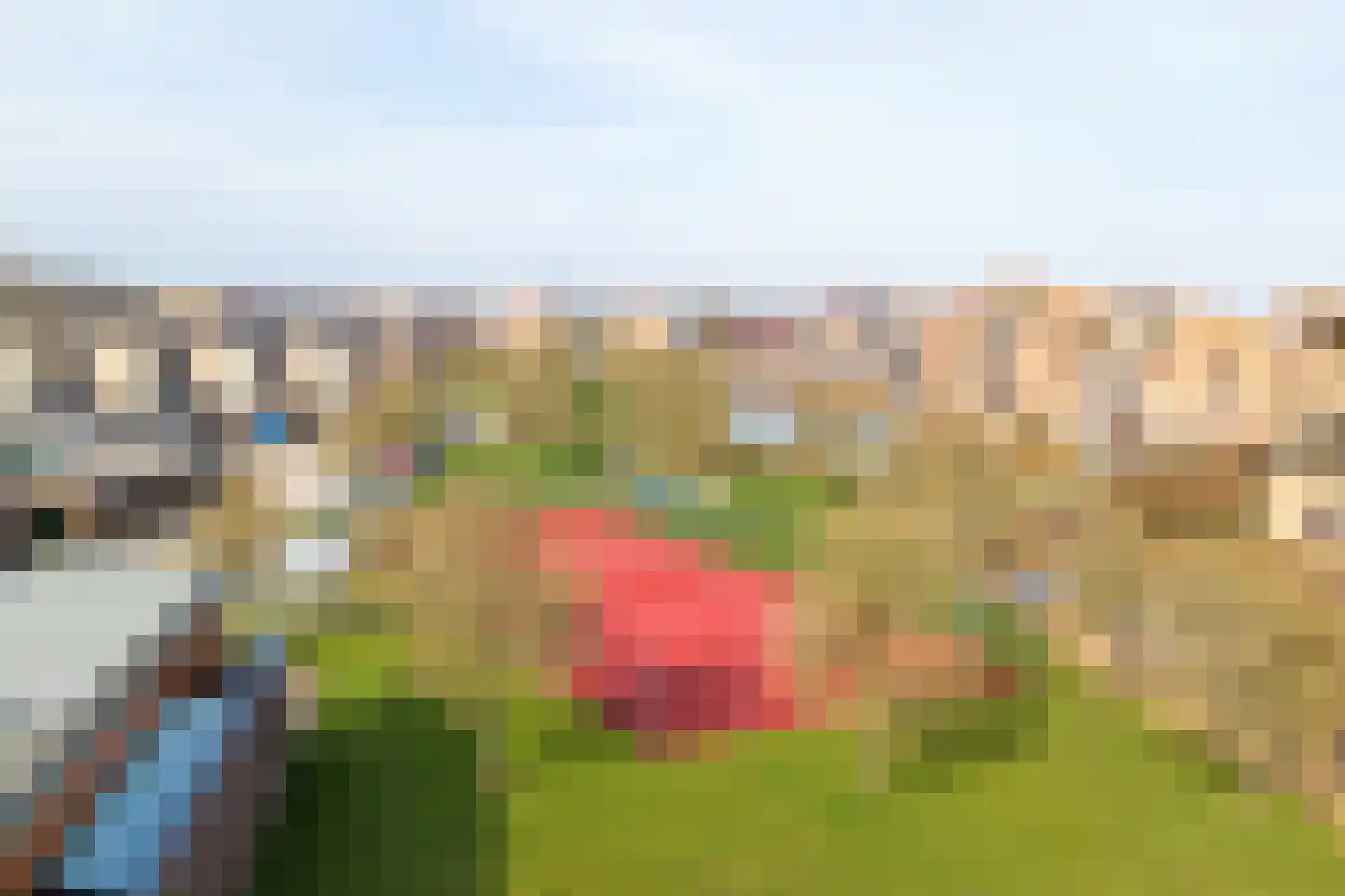 Dokter Kroesenring 50 Oud-Beijerland thumbnail 36
