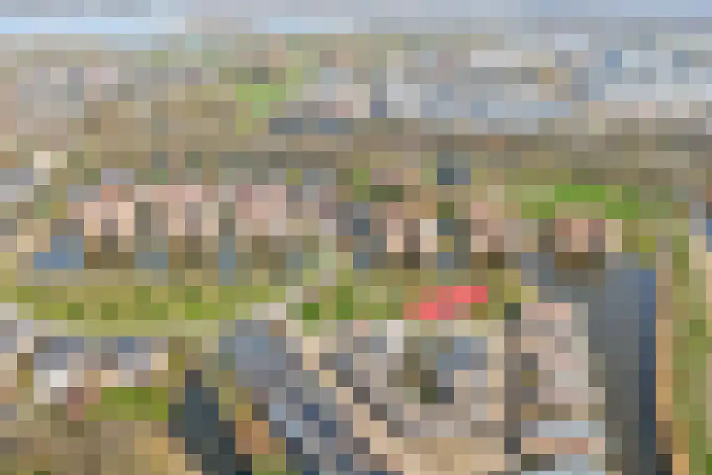 Dokter Kroesenring 50 Oud-Beijerland thumbnail 38