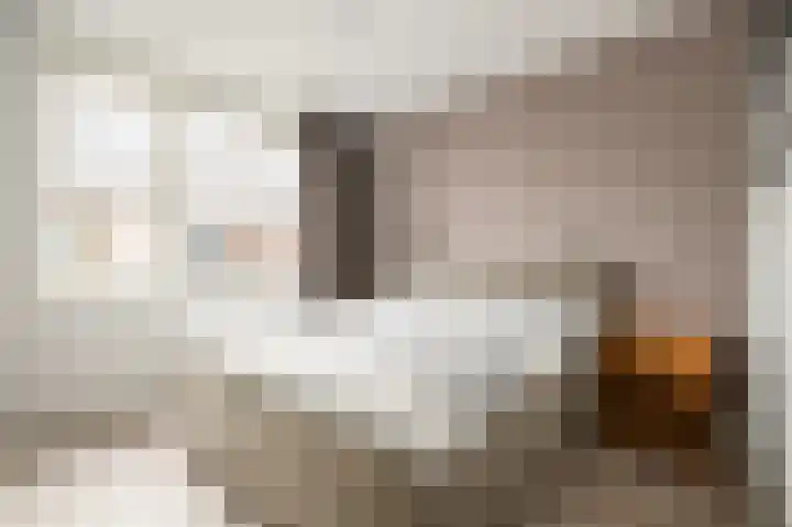 Dokter Landmanstraat 3 Roermond thumbnail 14