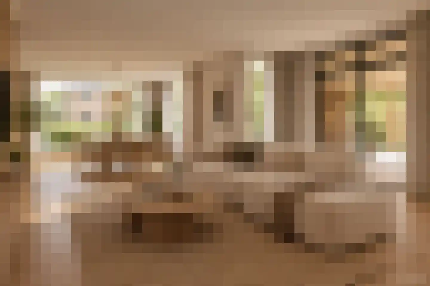 Dokter Landmanstraat 9 Helvoirt thumbnail 10