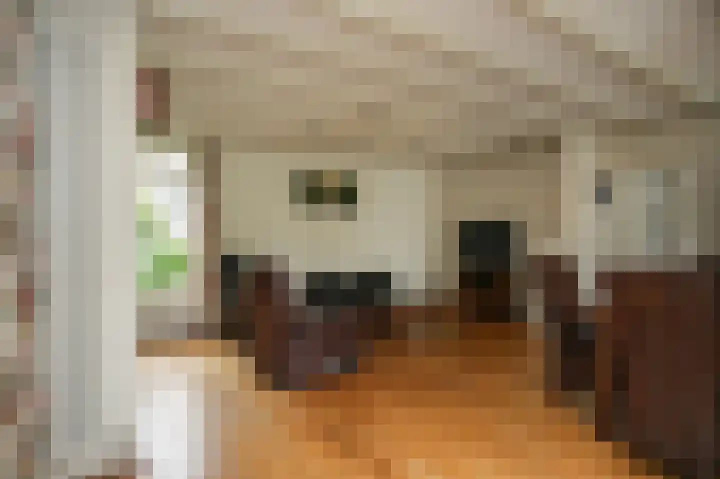 Dokter Landmanstraat 9 Helvoirt thumbnail 13