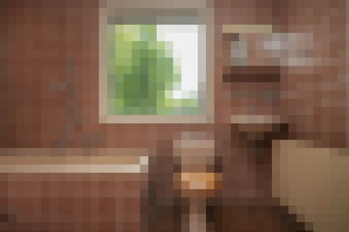 Dokter Landmanstraat 9 Helvoirt thumbnail 24