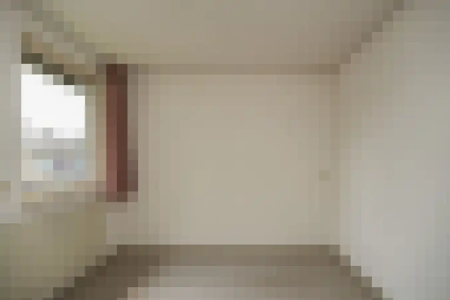 Dokter Landmanstraat 9 Helvoirt thumbnail 26