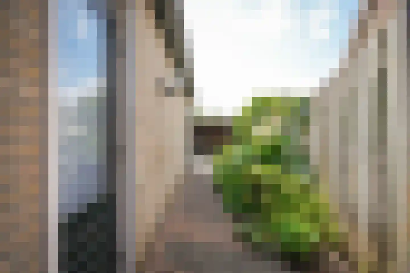 Dokter Landmanstraat 9 Helvoirt thumbnail 33